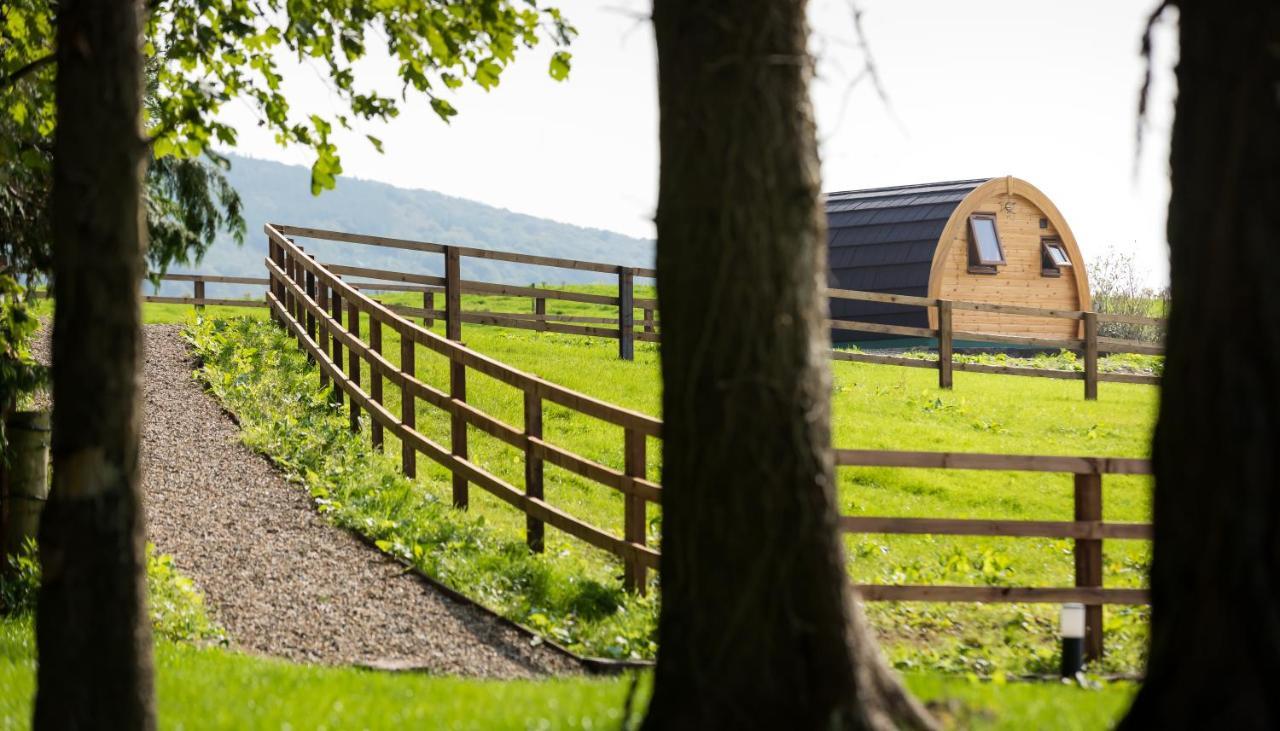 Villa Luxury Two-Bed Glamping Pod In County Clare 2 Kilbane Exterior foto
