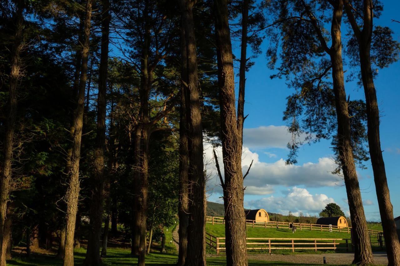 Villa Luxury Two-Bed Glamping Pod In County Clare 2 Kilbane Exterior foto